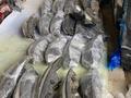 Фары на hyundai за 180 000 тг. в Актобе – фото 3