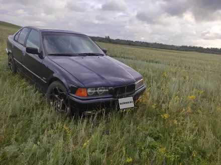 BMW 320 1995 года за 2 600 000 тг. в Кокшетау – фото 11