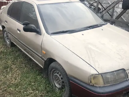 Nissan Primera 1992 года за 400 000 тг. в Алматы – фото 2