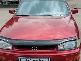 Toyota Camry, 1992