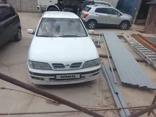 Nissan Primera