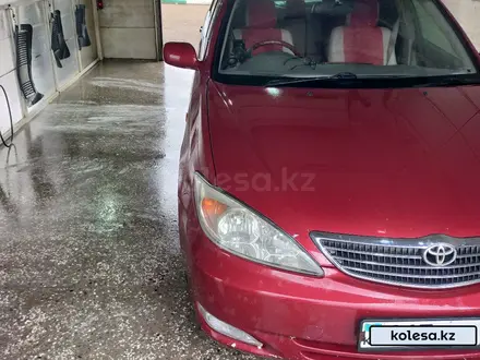 Toyota Camry 2003 года за 4 500 000 тг. в Кокшетау – фото 4