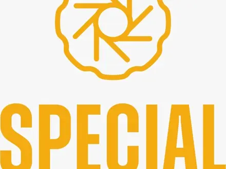 ТОО Special Truck Solution Astana в Астана