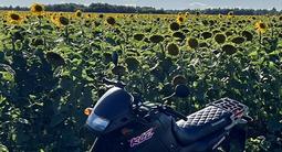 Kawasaki  KLE 500 1992 года за 700 000 тг. в Щучинск – фото 4