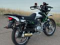 BAIGE  BAYGE BG250-9R Ақтөбе 2026 года за 500 000 тг. в Актобе – фото 5