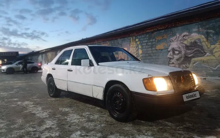 Mercedes-Benz E 200 1989 годаfor1 000 000 тг. в Кокшетау