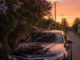 Kia Optima 2019 года за 5 555 555 тг. в Атырау – фото 5
