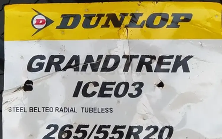 265/55R20 Dunlop ice 03 за 250 500 тг. в Шымкент