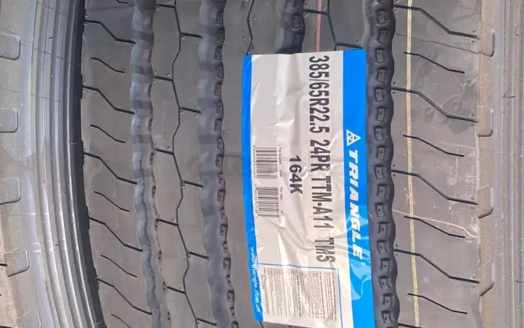 Грузовые шины 385/65R22, 5 — 24PR TTM-A11 Triangle за 153 000 тг. в Алматы