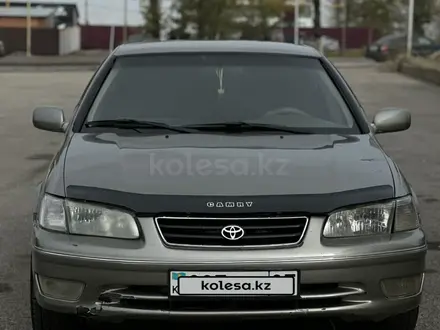 Toyota Camry 2000 года за 4 200 000 тг. в Алматы – фото 2