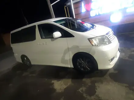 Toyota Alphard 2005 года за 6 000 000 тг. в Кызылорда – фото 5