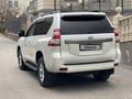 Toyota Land Cruiser Prado 2014 годаfor21 000 000 тг. в Караганда – фото 25