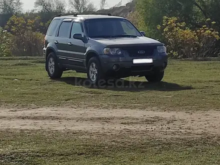 Ford Escape 2005 года за 4 300 000 тг. в Алматы – фото 2