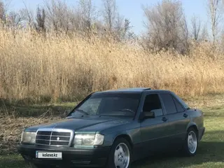 Mercedes-Benz 190