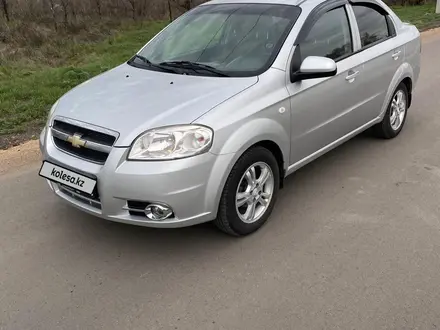 Chevrolet Aveo 2013 года за 3 900 000 тг. в Караганда