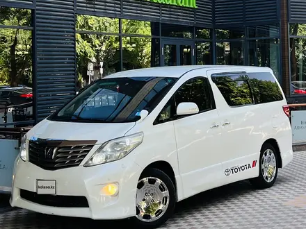 Toyota Alphard 2010 года за 6 450 000 тг. в Шымкент