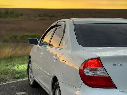 Toyota Camry 2003 года за 4 250 000 тг. в Караганда – фото 5