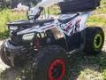 Tao Motor  Hunter 125 2025 годаүшін360 000 тг. в Алматы – фото 3