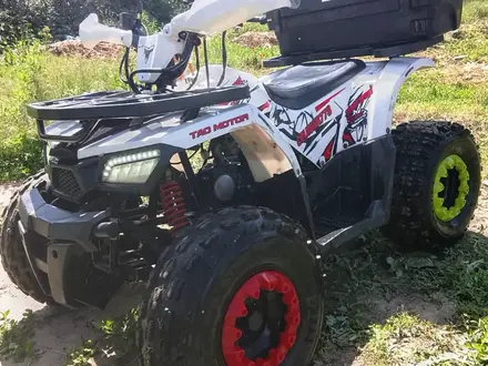 Tao Motor  Hunter 125 2025 года за 360 000 тг. в Алматы – фото 3
