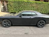 Аренда DODGE CHALLENGER встреча с Аэропорта в Алматы – фото 5