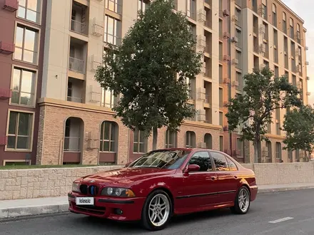 BMW 525 1999 года за 5 400 000 тг. в Алматы – фото 22