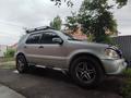 Mercedes-Benz ML 320 2002 года за 5 800 000 тг. в Талдыкорган – фото 14