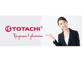 Totachi антифриз 10 литровfor13 500 тг. в Астана – фото 2