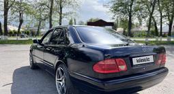 Mercedes-Benz E 280 1996 годаүшін2 300 000 тг. в Шымкент – фото 5