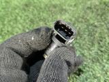 Датчик распредвала Мерседес Мерс 271 1.8 компрессор 203 211 за 15 000 тг. в Алматы – фото 2