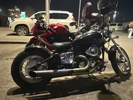 Yamaha  XVS400 Drag Star 2003 года за 1 800 000 тг. в Астана – фото 3