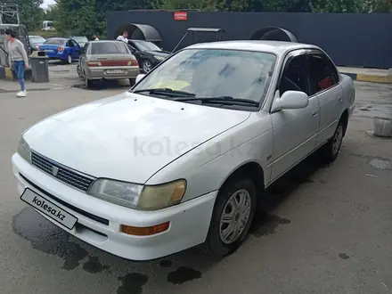 Toyota Corolla 1996 года за 2 000 000 тг. в Семей – фото 7