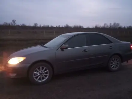 Toyota Camry 2004 года за 5 000 000 тг. в Аксу – фото 7