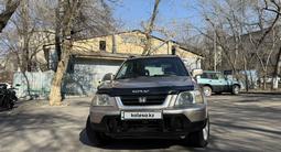 Honda CR-V 2001 года за 4 200 000 тг. в Алматы – фото 4