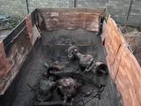 КамАЗ  5511 1988 года за 3 000 000 тг. в Шымкент – фото 2