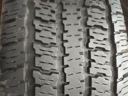 Radial A/P usa/Всесезонная легковая шина Radial A/P 1шт за 17 000 тг. в Алматы