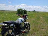 Harley-Davidson  Bad Boy 2024 года за 160 000 тг. в Кокшетау – фото 2