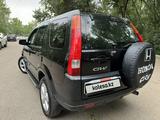 Honda CR-V 2003 года за 5 190 000 тг. в Алматы – фото 3