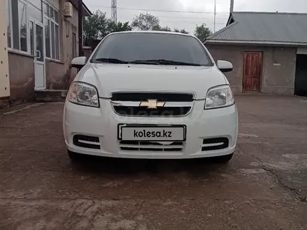 Chevrolet Aveo 2012 года за 3 100 000 тг. в Шардара – фото 3