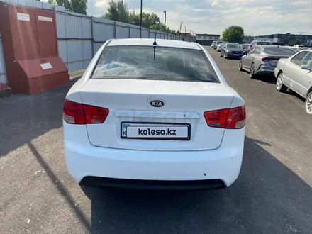 Kia Cerato 2012 года за 3 440 775 тг. в Алматы – фото 2
