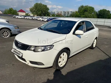 Kia Cerato 2012 года за 3 440 775 тг. в Алматы – фото 3