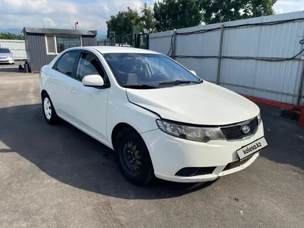 Kia Cerato 2012 года за 3 440 775 тг. в Алматы – фото 5