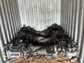 На Субару коробки автомат механики вариатор из Японии! за 200 000 тг. в Алматы