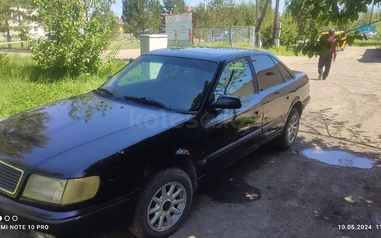 Audi 100 1991 годаүшін1 600 000 тг. в Сарканд