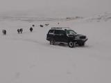 Toyota Land Cruiser 2004 годаүшін4 500 000 тг. в Караганда – фото 3