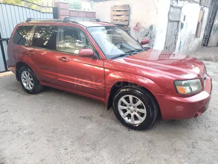 Subaru Forester 2005 года за 5 000 000 тг. в Алматы – фото 3