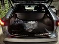 Lexus RX 350 2023 года за 38 000 000 тг. в Шымкент – фото 12