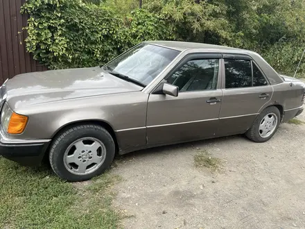 Mercedes-Benz E 260 1987 года за 1 200 000 тг. в Усть-Каменогорск – фото 2