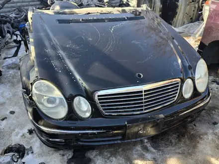 Авкат за 100 000 тг. в Тараз