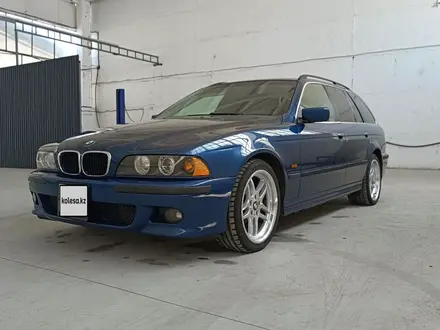 BMW 525 2001 года за 5 800 000 тг. в Тараз – фото 25