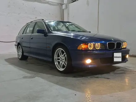 BMW 525 2001 года за 5 800 000 тг. в Тараз – фото 7